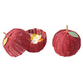 Craft Band Apple and Coaster Kit
