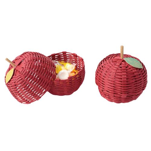 Craft Band Apple and Coaster Kit