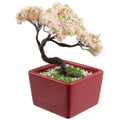 Mini Bonsai Grow Kit — Sakura Cherry Blossom