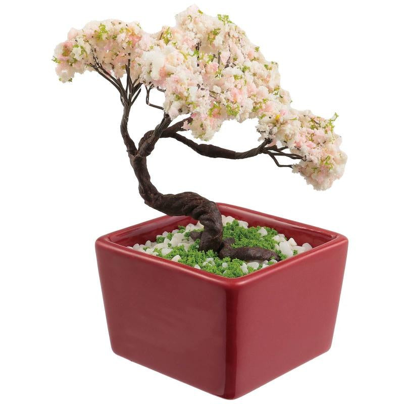 Mini Bonsai Grow Kit — Sakura Cherry Blossom
