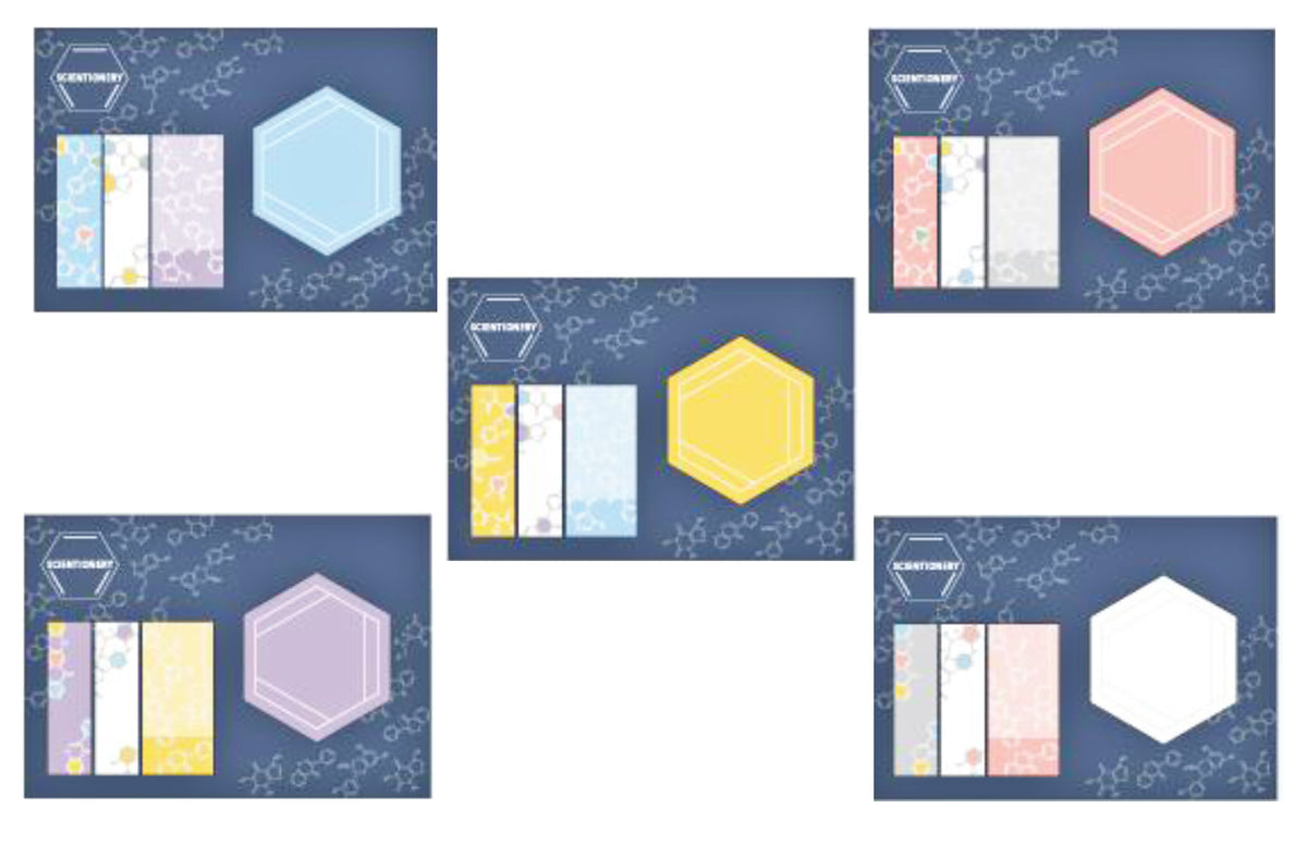 Okazaki Science Stationery Benzene Ring Sticky Notes
